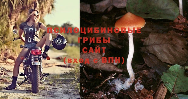 ПСИЛОЦИБИНОВЫЕ ГРИБЫ Покров