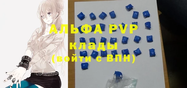 ПСИЛОЦИБИНОВЫЕ ГРИБЫ Покров