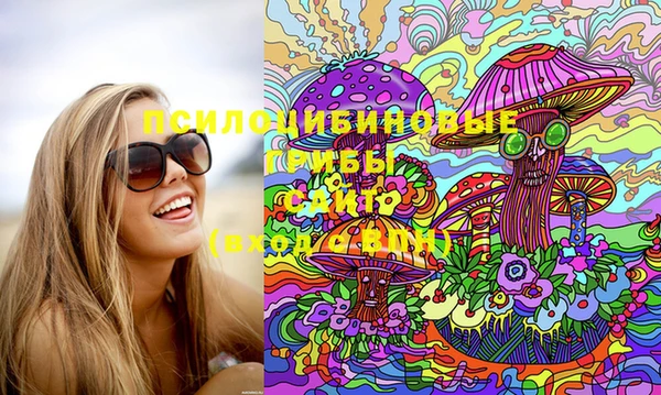 мет Нестеровская